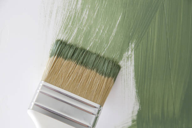 Best Mold Remediation for Healthcare Facilities  in Level Plains, AL