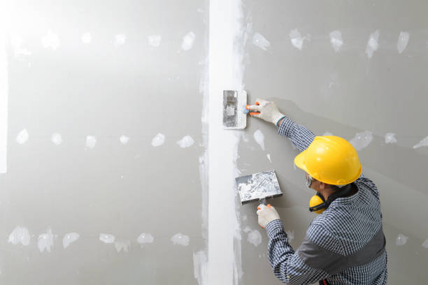 Best Basement Mold Removal  in Level Plains, AL