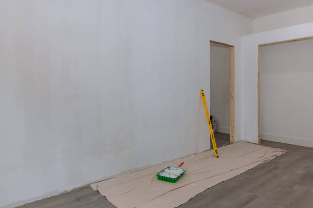 Best Mold Prevention Services  in Level Plains, AL