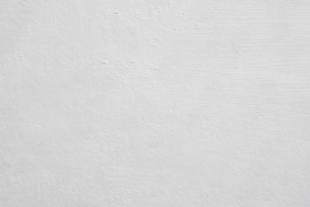 Best Black Mold Removal  in Level Plains, AL
