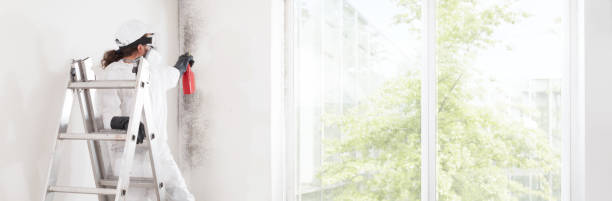 Dehumidification Services in Level Plains, AL