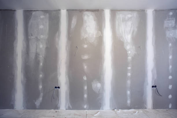 Best Air Quality Testing for Mold Spores  in Level Plains, AL