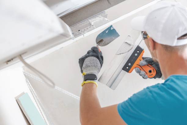 Best Emergency Mold Remediation  in Level Plains, AL